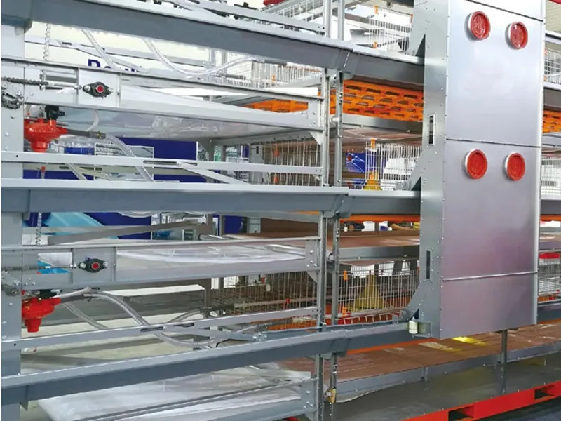 Broiler Chicken Cage