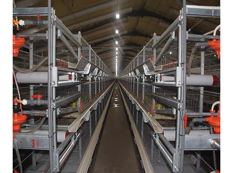 Chain Type Broiler Cage-fully automatic bird harvesting