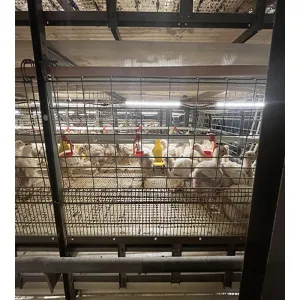 Automatic Layer Cage