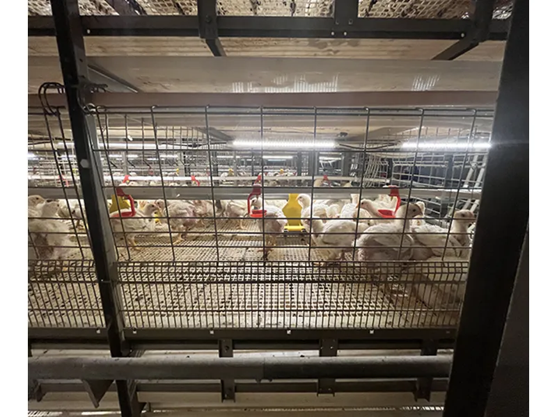 Automatic Layer Cage