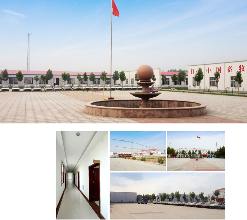 Shandong Huimin Qinle Livestock Machinery Co., Ltd. 