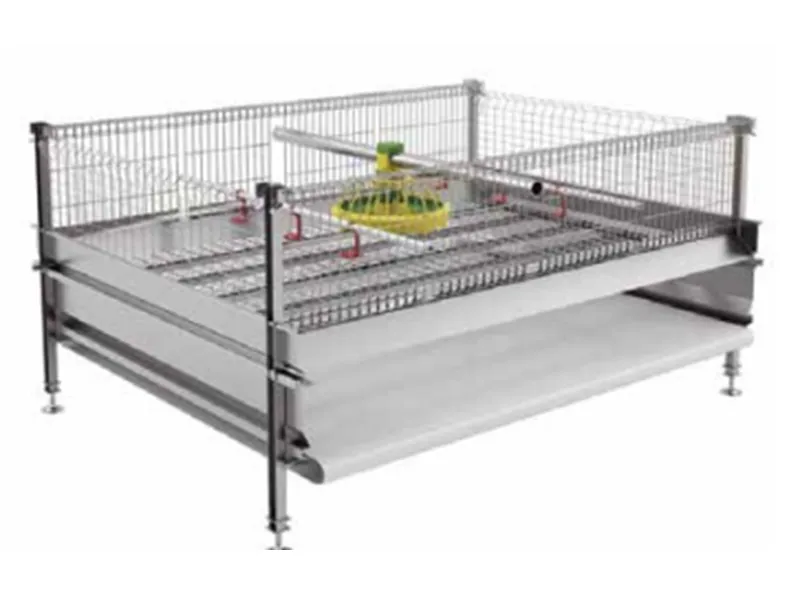 Commercial Broiler Cage