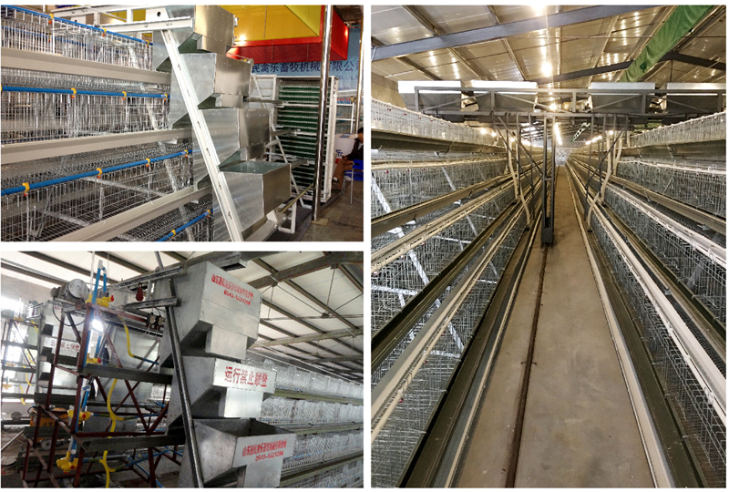 Stepped Cage Straddle Feeder