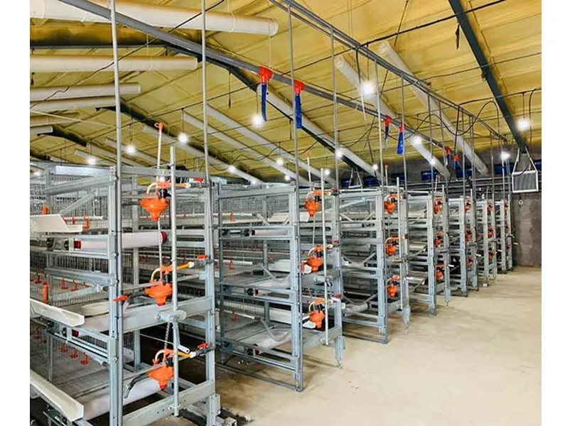 Poultry Feed Disc System