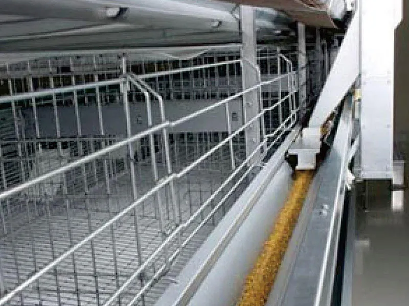 Automatic Layer Feeder