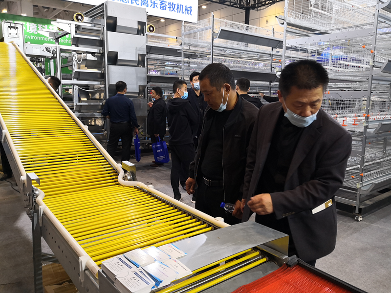 Shandong Huimin Qinle Livestock Machinery Co., Ltd.