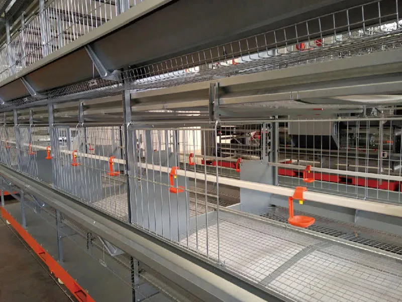 Automatic Feed System