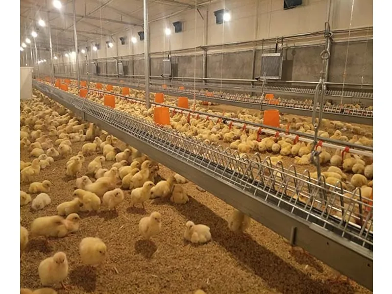 Cage Free Housing System