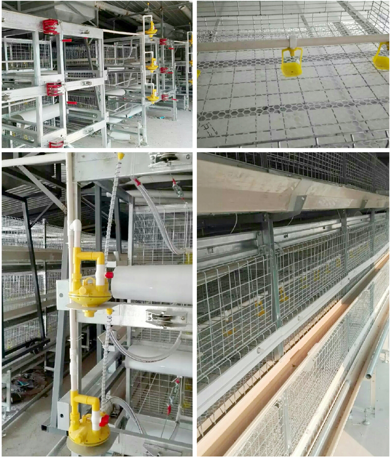 Stacked Broiler Cage Equipment