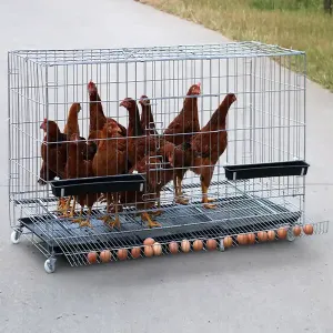 Poultry Handling Crates