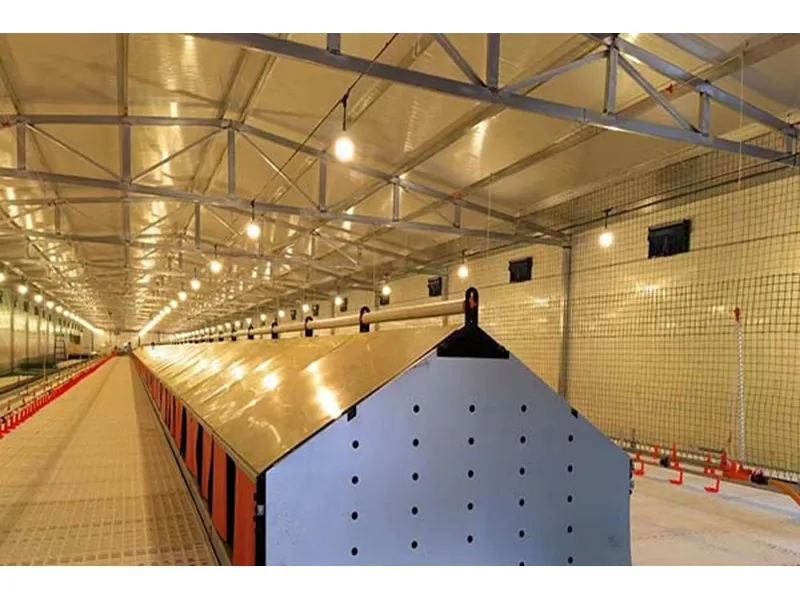 Cage Free Ventilation System