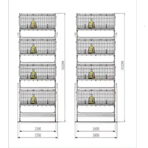 Broiler Cage Equipment