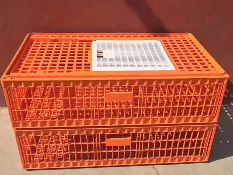 Broiler Transport Cage