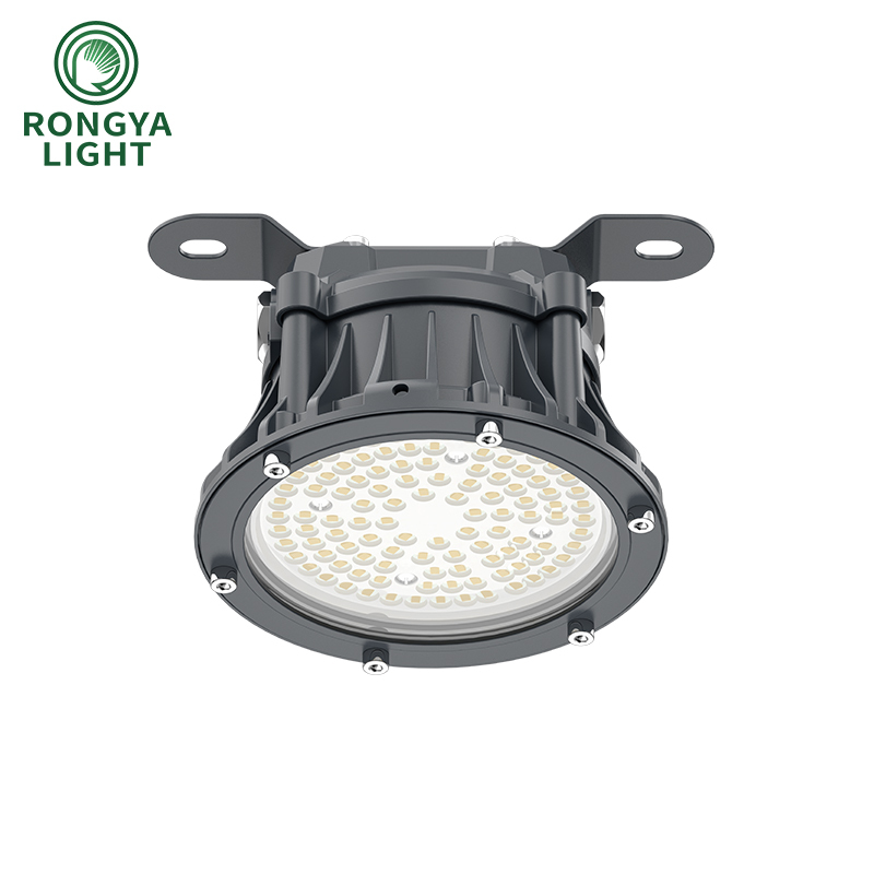  Explosion-Proof LED Light &ndash; 50W, 130lm/W, IP66, Lumileds LEDs for Gas Stations & Chemical Plants