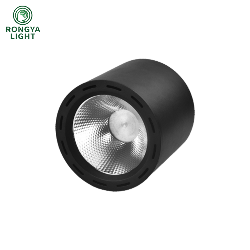 Anti-Glare LED Downlight for Transit Hubs & Public Waiting Areas