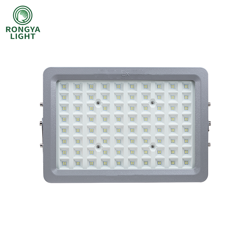 Heavy-Duty Explosion Proof Hazardous Area Flood Light for Industrial Sites