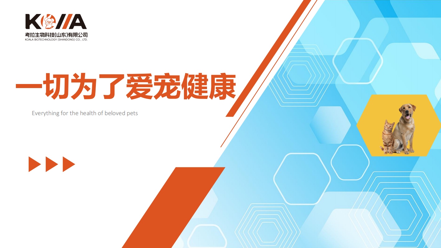 考拉 (3).png