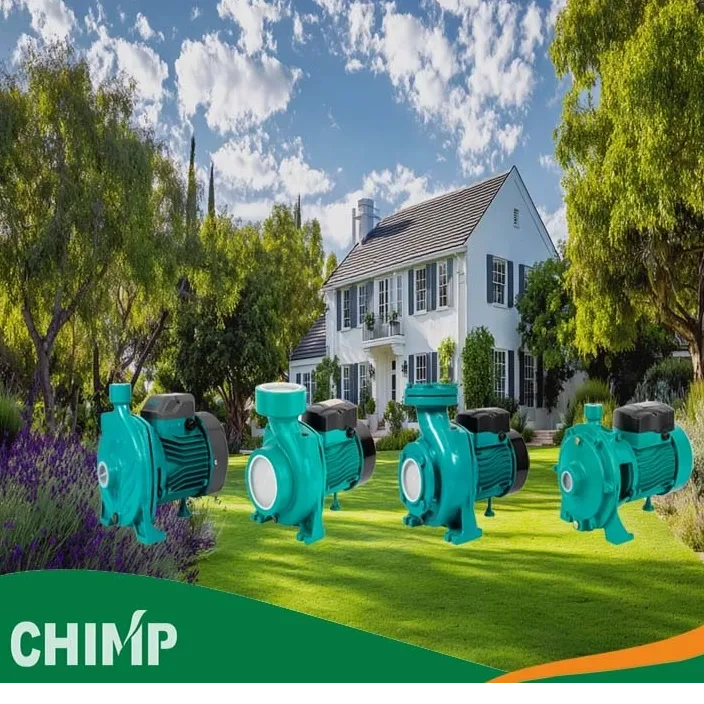 Centrifugal Pump for Home Use: Why Chimp&rsquo;s CPM and MHF Series Improve Your Water Supply