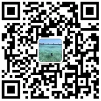 WeChat二维码