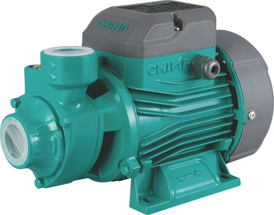 What do you know about the Water Pump?