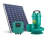 ZWLQ DC Sewage Pump