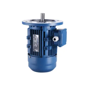 Y2 Series Three Phase Electric Motor