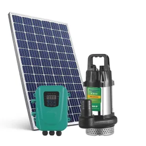 ZWSQ DC Submersible Pump
