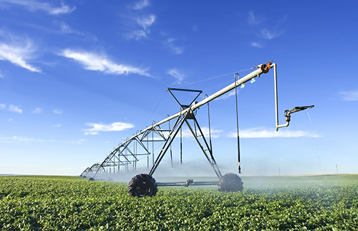 Agriculture / Irrigation