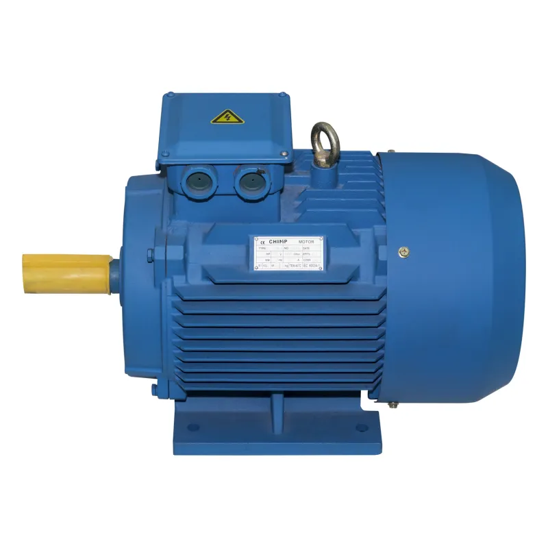 YE3 Series Three Phase Electric Motor