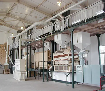 Complete equipment for seed processing