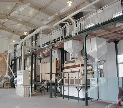 Vegetable Seed Cleaning Processing Plant