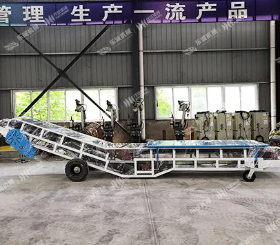 TDSL Belt Conveyor