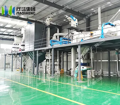 葵花籽加工生产线