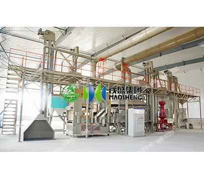 Wheat Seed Processing Plant