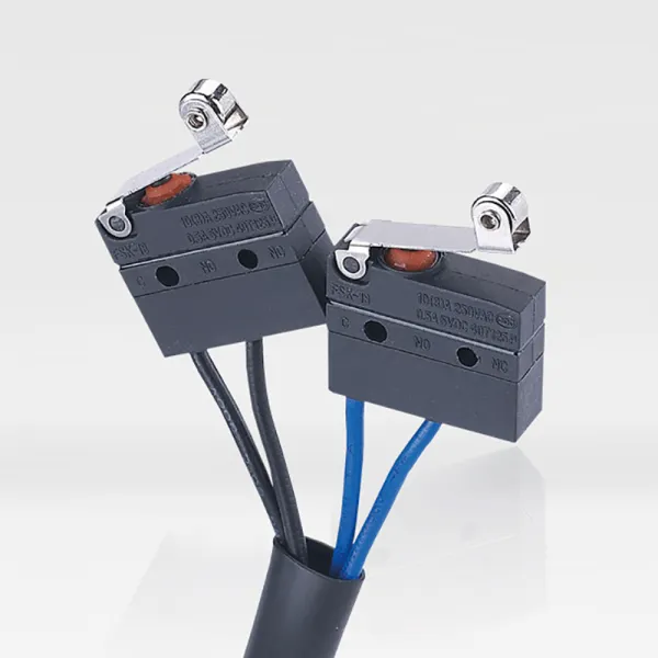 Micro Switch WS18 Series WS18-W06