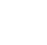 Automotive Tier 1 Suppliers