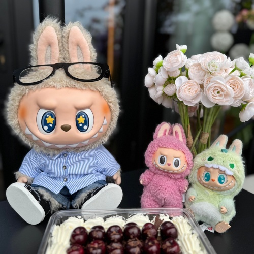 Labubu authentic Beach Wind Limited Edition Collectibles goods fast delivery from Europe warehouse