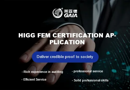 HIGG FEM certification application