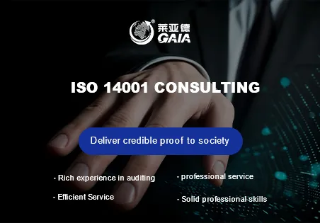 ISO 14001 consulting