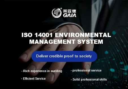 ISO 14001 environmental management system
