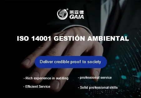 ISO 14001 gesti&oacute;n ambiental