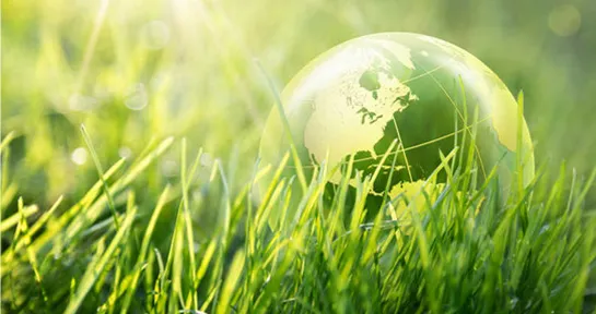 ISO9001 Quality Certification