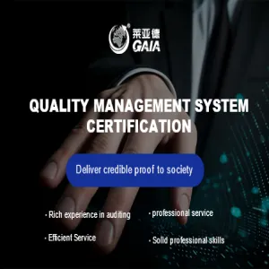 Quality management system certification