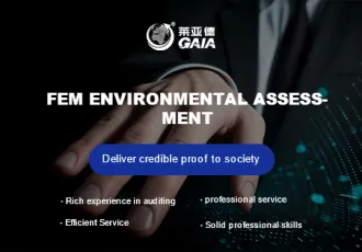 FEM environmental assessment