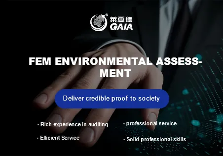 FEM environmental assessment