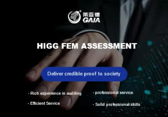 HIGG FEM assessment