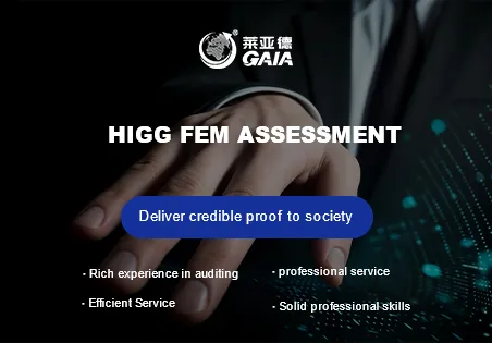 HIGG FEM assessment