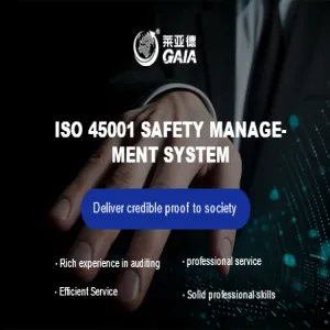 ISO 45001 safety management system