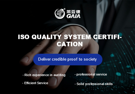 ISO quality system certification.jpg
