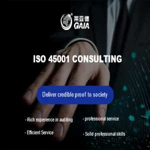 ISO 45001 consulting